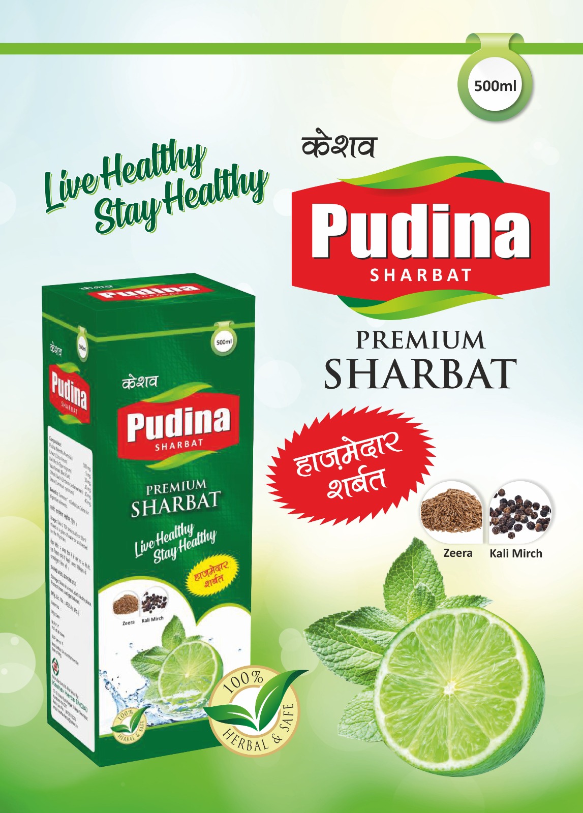 Pudina Sharbat